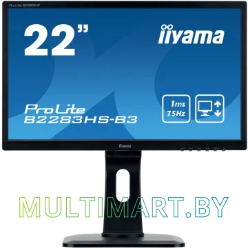 Монитор Iiyama ProLite B2283HS-B3